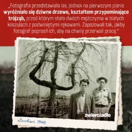 Zaszłość